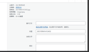 WordPress上传图片自动重命名无需插件阿尔法指标网-提供金钻指标以及精品亲测实战指标公式，汇集各大股市名师高手教程、股市战法交流等.....WordPress主题模板论坛阿尔法指标网-提供金钻指标以及精品亲测实战指标公式，汇集各大股市名师高手教程、股市战法交流等.....阿尔法指标网