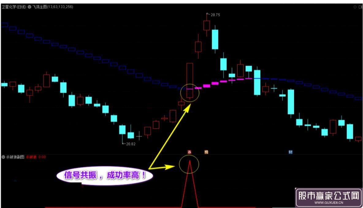图片[1]阿尔法指标网-提供金钻指标以及精品亲测实战指标公式，汇集各大股市名师高手教程、股市战法交流等.....通达信【杀破狼+飞鸿】套装指标，十年磨一剑，90%高胜率选股，不加密无未来！阿尔法指标网-提供金钻指标以及精品亲测实战指标公式，汇集各大股市名师高手教程、股市战法交流等.....阿尔法指标网