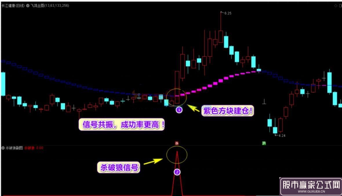 图片[2]阿尔法指标网-提供金钻指标以及精品亲测实战指标公式，汇集各大股市名师高手教程、股市战法交流等.....通达信【杀破狼+飞鸿】套装指标，十年磨一剑，90%高胜率选股，不加密无未来！阿尔法指标网-提供金钻指标以及精品亲测实战指标公式，汇集各大股市名师高手教程、股市战法交流等.....阿尔法指标网