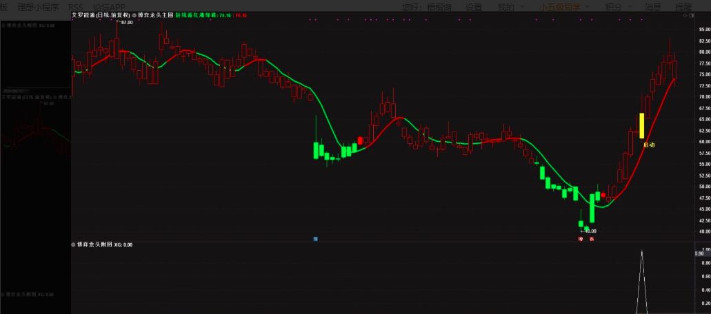 431555299d57fe3988d52f0dba397367