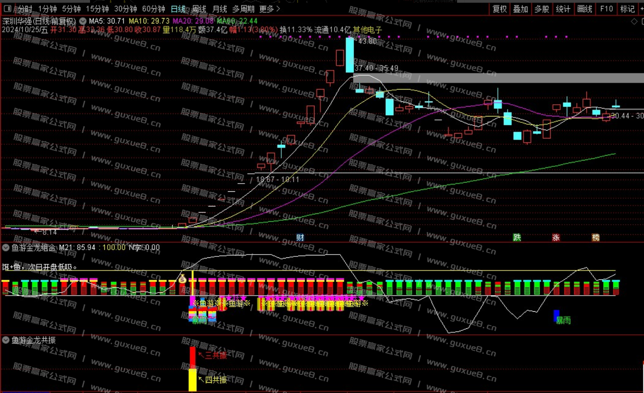 图片[6]阿尔法指标网-提供金钻指标以及精品亲测实战指标公式，汇集各大股市名师高手教程、股市战法交流等.....【鱼游金龙】捕捉强势主升 暴雨入河鱼跃成龙共振信号 信号不飘逸 通达信手机电脑通用