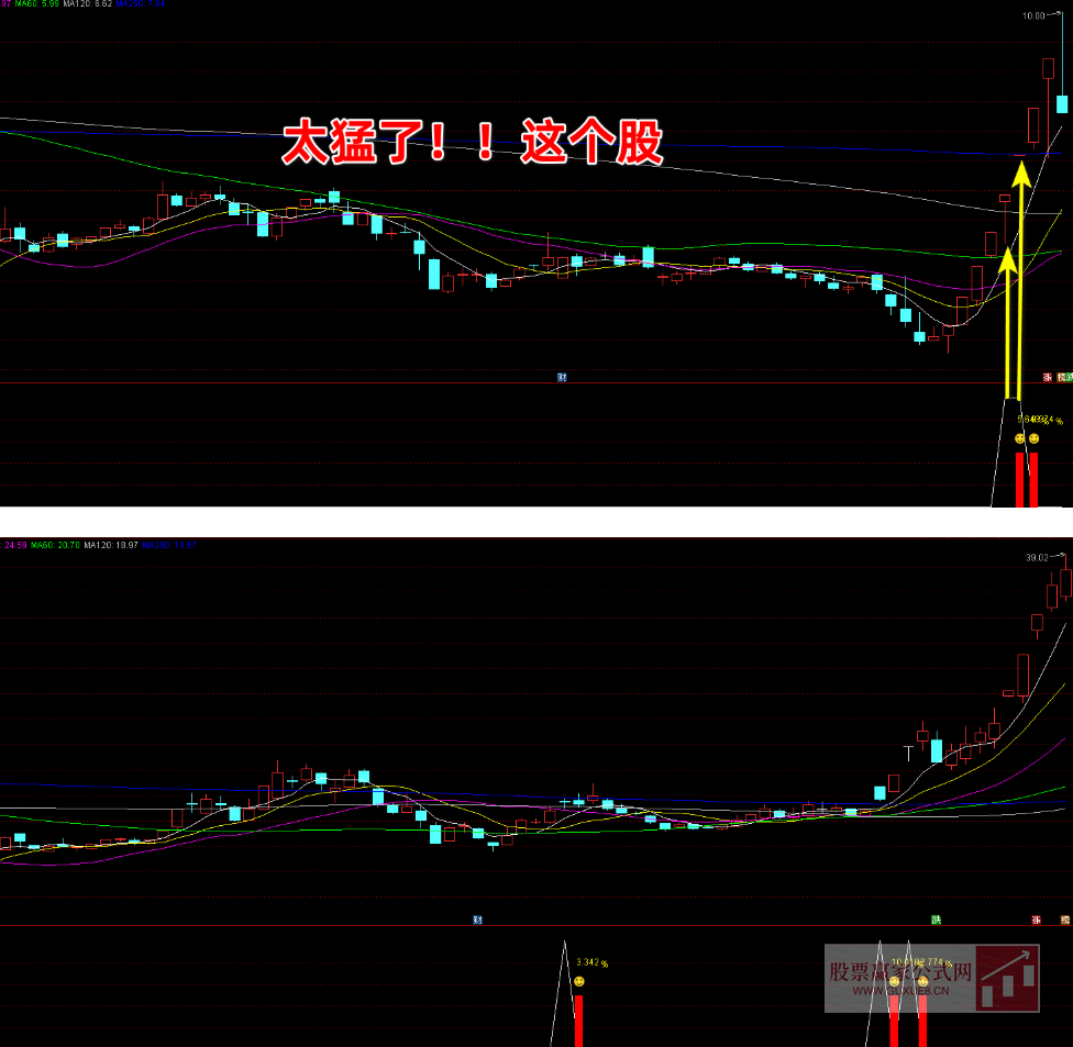 图片[5]阿尔法指标网-提供金钻指标以及精品亲测实战指标公式，汇集各大股市名师高手教程、股市战法交流等.....【大黑鲨竞价指标】适合9点25竞价选股 评测高胜率89% 竞价信号全天不变，副图选股手机电脑通达信通用【众筹指标系列】阿尔法指标网-提供金钻指标以及精品亲测实战指标公式，汇集各大股市名师高手教程、股市战法交流等.....阿尔法指标网