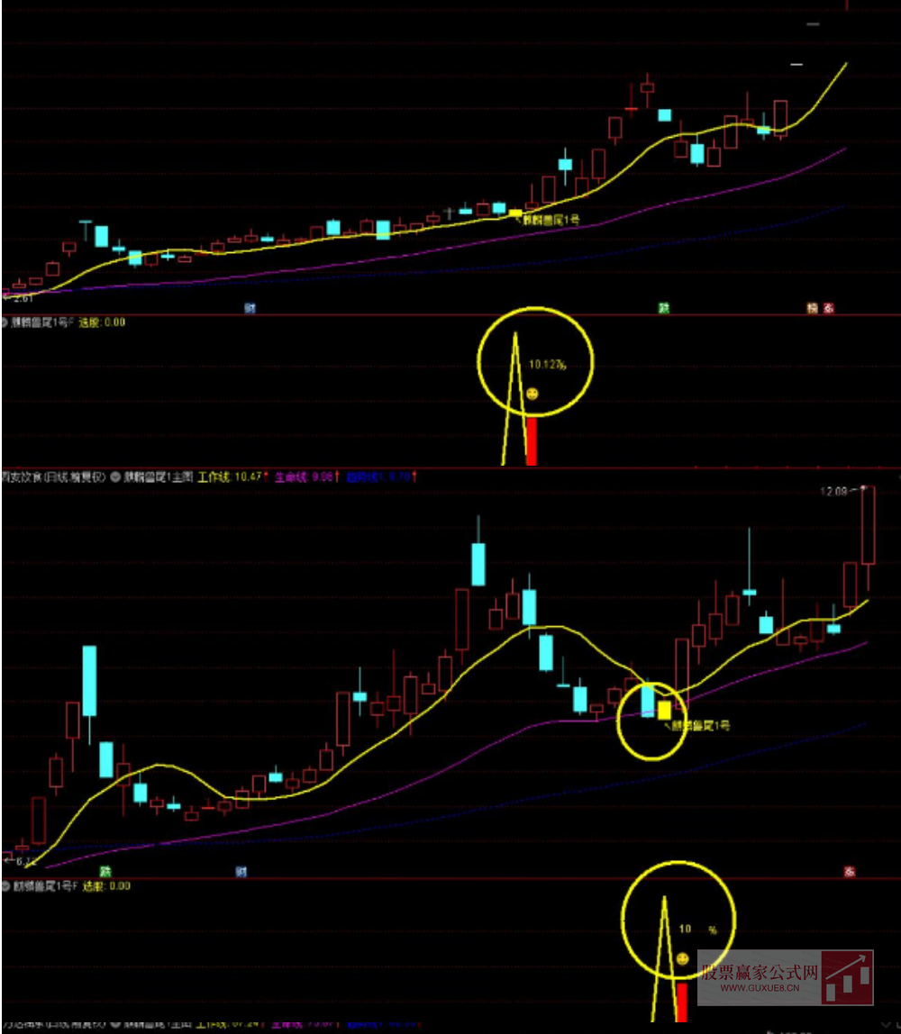 图片[3]阿尔法指标网-提供金钻指标以及精品亲测实战指标公式，汇集各大股市名师高手教程、股市战法交流等.....【麒麟兽尾1号】主附图选股/尾盘T1思路高胜率/手机电脑通用无未来函数适合上班族【众筹指标系列】阿尔法指标网-提供金钻指标以及精品亲测实战指标公式，汇集各大股市名师高手教程、股市战法交流等.....阿尔法指标网