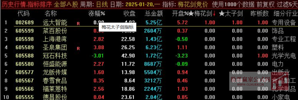 图片[11]阿尔法指标网-提供金钻指标以及精品亲测实战指标公式，汇集各大股市名师高手教程、股市战法交流等.....【梅花剑+太子剑】2025年 高胜率早盘竞价排序 快速锁定优质目标 源码开放 永久版！【众筹指标系列】阿尔法指标网-提供金钻指标以及精品亲测实战指标公式，汇集各大股市名师高手教程、股市战法交流等.....阿尔法指标网