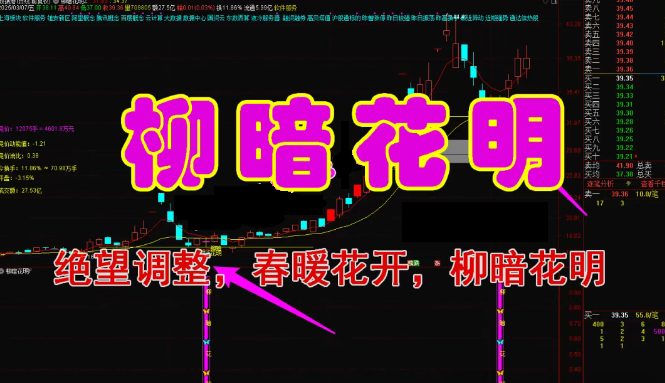 图片[1]阿尔法指标网-提供金钻指标以及精品亲测实战指标公式，汇集各大股市名师高手教程、股市战法交流等.....【柳暗花明】 预警点位低 安全系数高 出票数量适中、胜率不错 无未来函数 通达信手机电脑通用【众筹指标系列】阿尔法指标网-提供金钻指标以及精品亲测实战指标公式，汇集各大股市名师高手教程、股市战法交流等.....阿尔法指标网