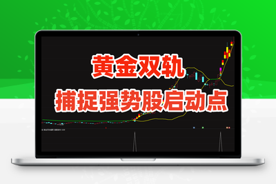 【金指标专属】【黄金双轨】通达信黄金双轨捉强势股的启动信号股票指标公式主升浪涨停短线【金指标系列】阿尔法指标网-提供金钻指标以及精品亲测实战指标公式，汇集各大股市名师高手教程、股市战法交流等.....阿尔法指标网