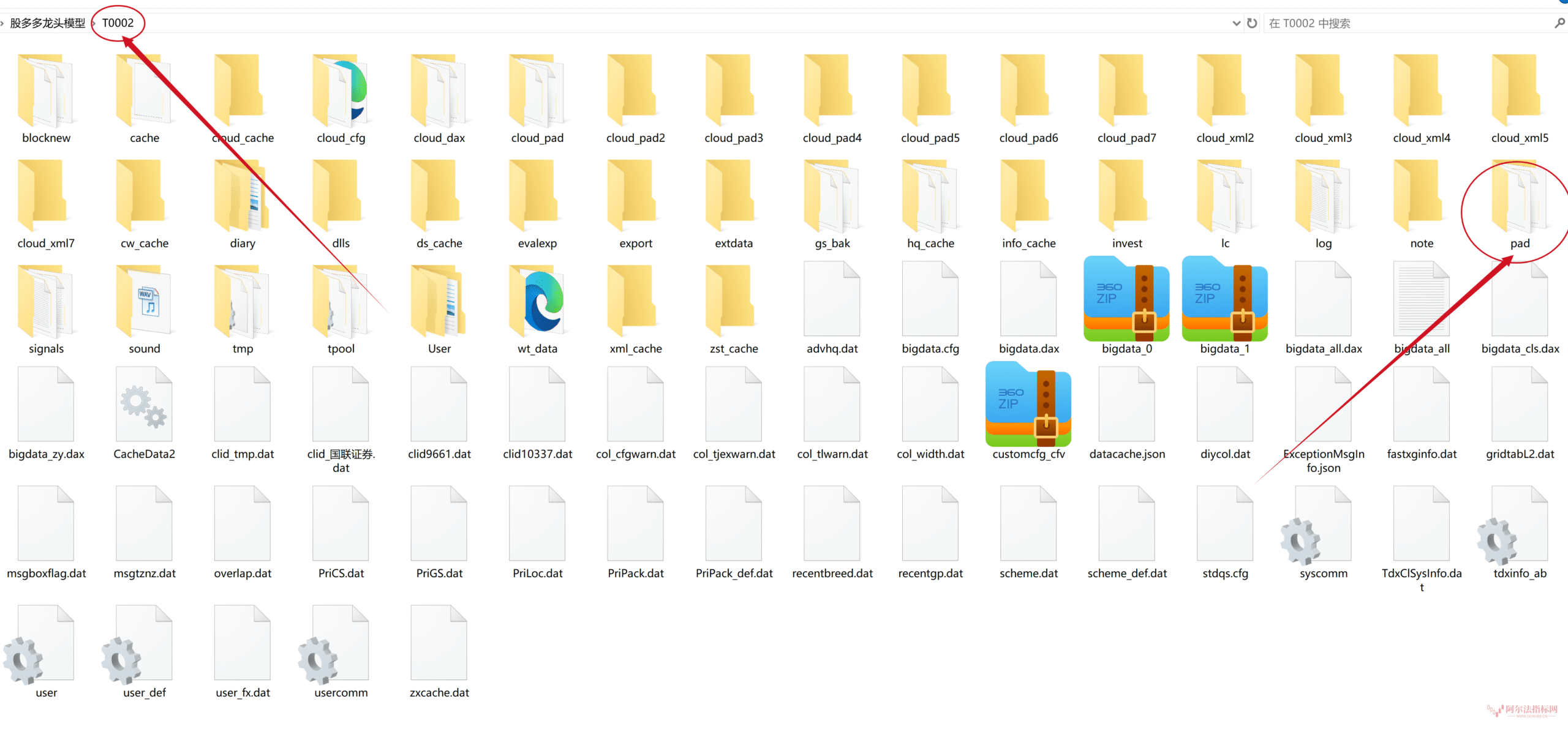 图片[7]阿尔法指标网-提供金钻指标以及精品亲测实战指标公式，汇集各大股市名师高手教程、股市战法交流等.....【通达信】股多双紫擒龙电脑版龙头大模型擒龙一键选股系统自定义版面不加密【众筹指标系列】阿尔法指标网-提供金钻指标以及精品亲测实战指标公式，汇集各大股市名师高手教程、股市战法交流等.....阿尔法指标网