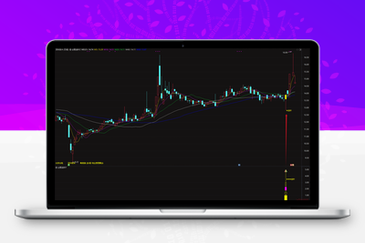 【金针探底】 私募抄底核心 在不同行情阶段均可能产生有效信号指标全套 原售价3000元阿尔法指标网-提供金钻指标以及精品亲测实战指标公式，汇集各大股市名师高手教程、股市战法交流等.....阿尔法指标网