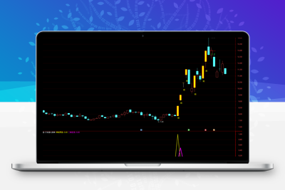 【打板量化策略】超牛打板必备 龙头战法首板、一进二（打二板）指标打板指标+使用方法阿尔法指标网-提供金钻指标以及精品亲测实战指标公式，汇集各大股市名师高手教程、股市战法交流等.....阿尔法指标网