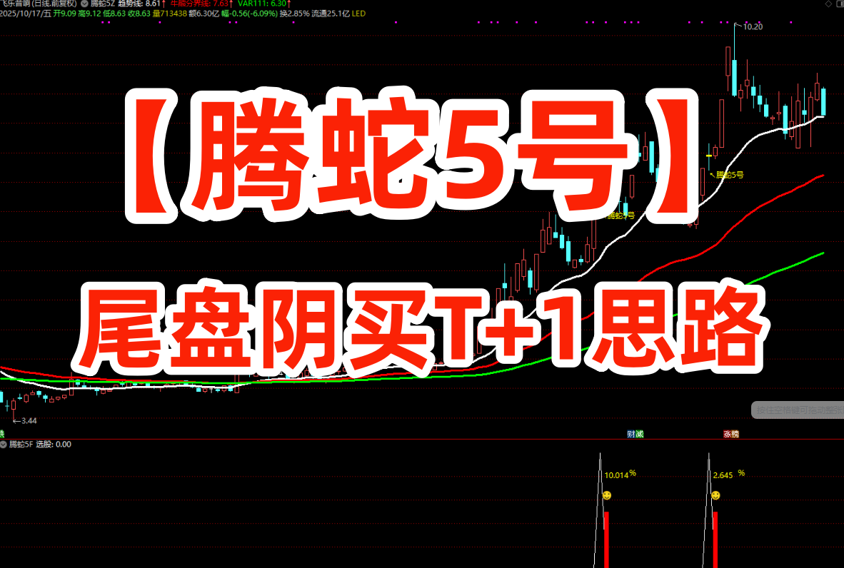 图片[1]阿尔法指标网-提供金钻指标以及精品亲测实战指标公式，汇集各大股市名师高手教程、股市战法交流等.....【腾蛇5号】通达信主附图选股指标 尾盘阴买思路 信号不会飘逸 手机电脑通用【众筹指标系列】阿尔法指标网-提供金钻指标以及精品亲测实战指标公式，汇集各大股市名师高手教程、股市战法交流等.....阿尔法指标网