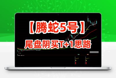 【腾蛇5号】通达信主附图选股指标 尾盘阴买思路 信号不会飘逸 手机电脑通用阿尔法指标网-提供金钻指标以及精品亲测实战指标公式，汇集各大股市名师高手教程、股市战法交流等.....阿尔法指标网