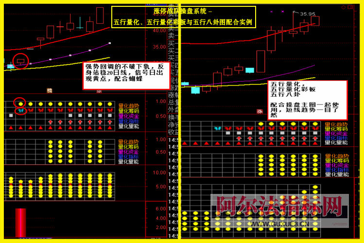 图片[16]阿尔法指标网-提供金钻指标以及精品亲测实战指标公式，汇集各大股市名师高手教程、股市战法交流等.....【金指标专属】【涨停战队操盘系统】涨停战队操盘系统指标 主力量化 主力资金 通达信全套指标【金指标系列】阿尔法指标网-提供金钻指标以及精品亲测实战指标公式，汇集各大股市名师高手教程、股市战法交流等.....阿尔法指标网
