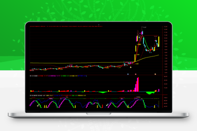 【庄家出击】某处售价300的 跟庄吃肉，紧跟主力擒大妖 主图+主力试盘副+追庄擒妖副+4选股 源码已解密阿尔法指标网-提供金钻指标以及精品亲测实战指标公式，汇集各大股市名师高手教程、股市战法交流等.....阿尔法指标网
