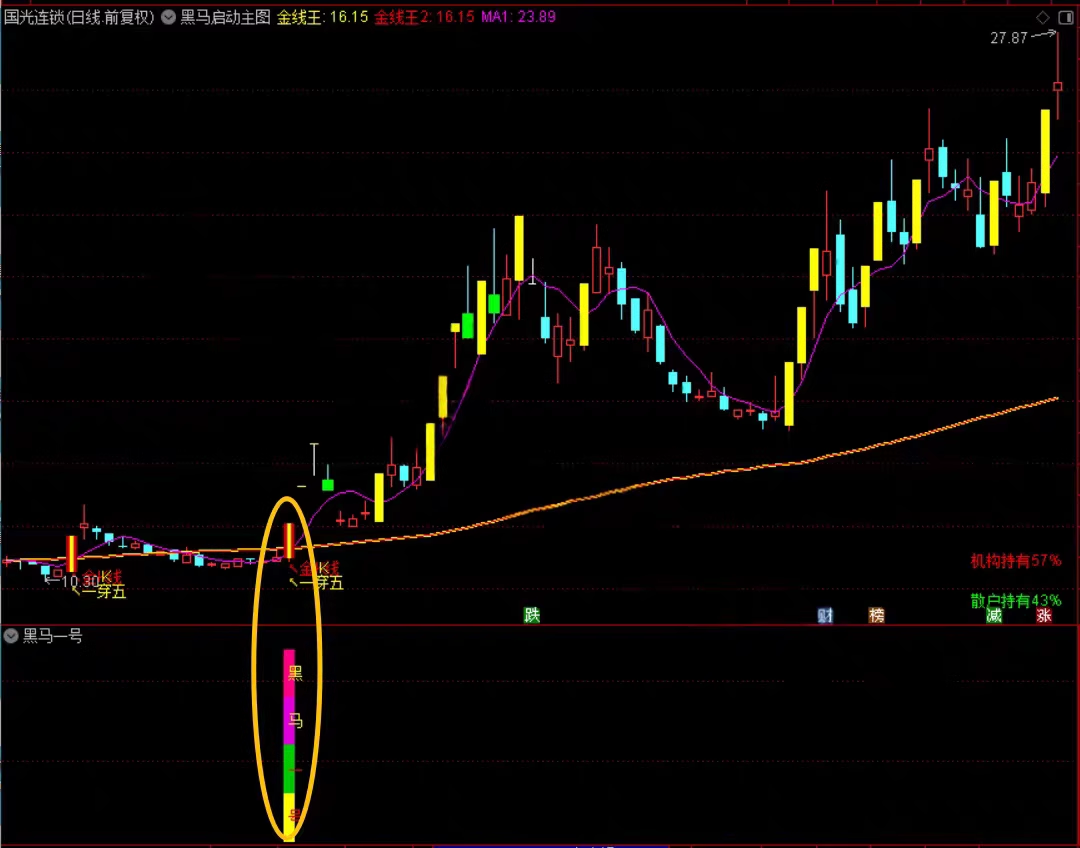 图片[4]阿尔法指标网-提供金钻指标以及精品亲测实战指标公式，汇集各大股市名师高手教程、股市战法交流等.....【金指标专属】【黑马涨停王】抓板神器 黑马启动 盘中决策  多头趋势启动连续上涨  手机电脑通用无未来【金指标系列】阿尔法指标网-提供金钻指标以及精品亲测实战指标公式，汇集各大股市名师高手教程、股市战法交流等.....阿尔法指标网