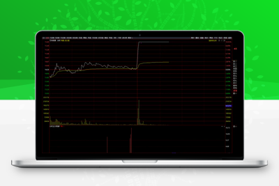 【分时主力吸筹】分时副图 通达信 主力真实的低位吸筹信号 杂波少 信号清晰阿尔法指标网-提供金钻指标以及精品亲测实战指标公式，汇集各大股市名师高手教程、股市战法交流等.....阿尔法指标网