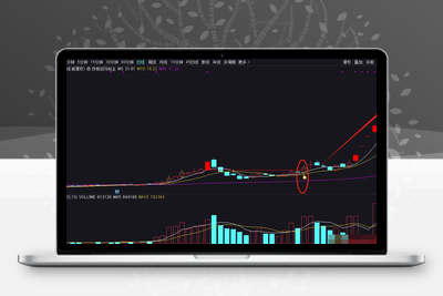 【炸板回马枪】 思路就是首板回调后 以炸板的方式突破首板低点 量化时代妖股启动标志 源码不加密阿尔法指标网-提供金钻指标以及精品亲测实战指标公式，汇集各大股市名师高手教程、股市战法交流等.....阿尔法指标网