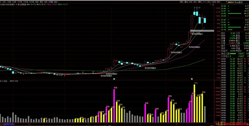 图片[4]阿尔法指标网-提供金钻指标以及精品亲测实战指标公式，汇集各大股市名师高手教程、股市战法交流等.....2026【双资金】新思路 跟随大资金吃大牛战法 看穿机构游资动向 副图指标 支持最新鸿蒙Ｍate80手机【实战指标系列】阿尔法指标网-提供金钻指标以及精品亲测实战指标公式，汇集各大股市名师高手教程、股市战法交流等.....阿尔法指标网