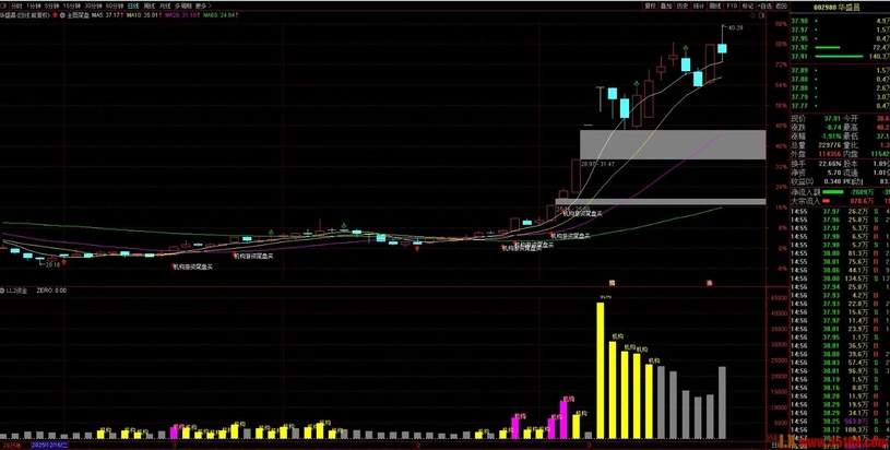 图片[6]阿尔法指标网-提供金钻指标以及精品亲测实战指标公式，汇集各大股市名师高手教程、股市战法交流等.....2026【双资金】新思路 跟随大资金吃大牛战法 看穿机构游资动向 副图指标 支持最新鸿蒙Ｍate80手机【实战指标系列】阿尔法指标网-提供金钻指标以及精品亲测实战指标公式，汇集各大股市名师高手教程、股市战法交流等.....阿尔法指标网