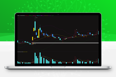 【龙头抓妖套装】自动算涨跌停、显示筹码盈利、标注庄进庄出，妖股龙头 一套顶十套的主图指标！阿尔法指标网-提供金钻指标以及精品亲测实战指标公式，汇集各大股市名师高手教程、股市战法交流等.....阿尔法指标网