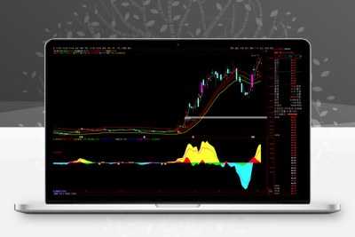 【敢死队资金流】判断个股强弱 跟上主力 主力+机构+游资共振 也适用于高位跑路 通达信副图源码【实战指标系列】阿尔法指标网-提供金钻指标以及精品亲测实战指标公式，汇集各大股市名师高手教程、股市战法交流等.....阿尔法指标网