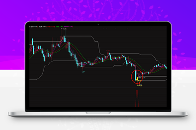 【至尊猎庄系统】洗盘末端最后一跌的黄金坑形成后的主力即将拉升的起爆点 机构级通达信交易全套指标【实战指标系列】阿尔法指标网-提供金钻指标以及精品亲测实战指标公式，汇集各大股市名师高手教程、股市战法交流等.....阿尔法指标网