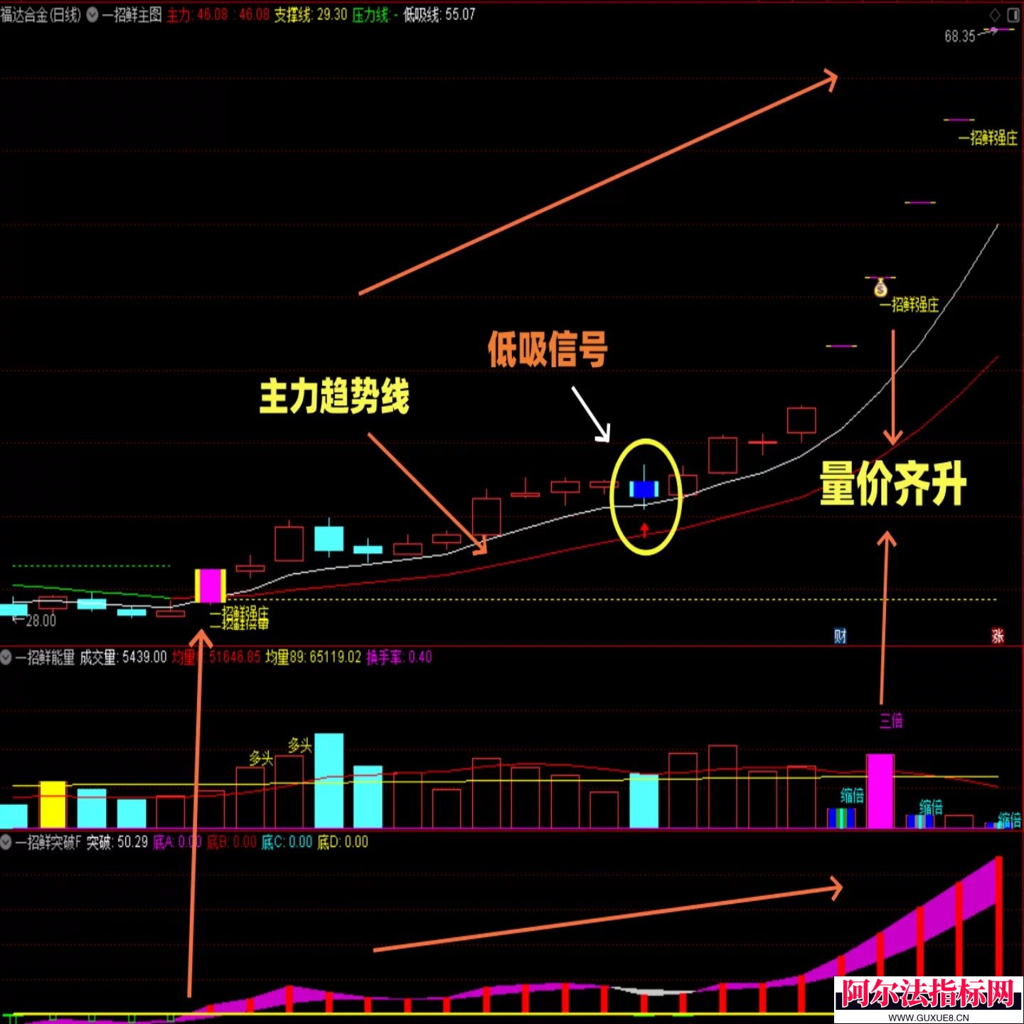 图片[7]阿尔法指标网-提供金钻指标以及精品亲测实战指标公式，汇集各大股市名师高手教程、股市战法交流等.....【金指标系列】【一招鲜吃遍天】  某宝售价498元 主升浪强势股低吸战法核心龙头 通达信炒股公式指标源码!【金指标系列】阿尔法指标网-提供金钻指标以及精品亲测实战指标公式，汇集各大股市名师高手教程、股市战法交流等.....阿尔法指标网