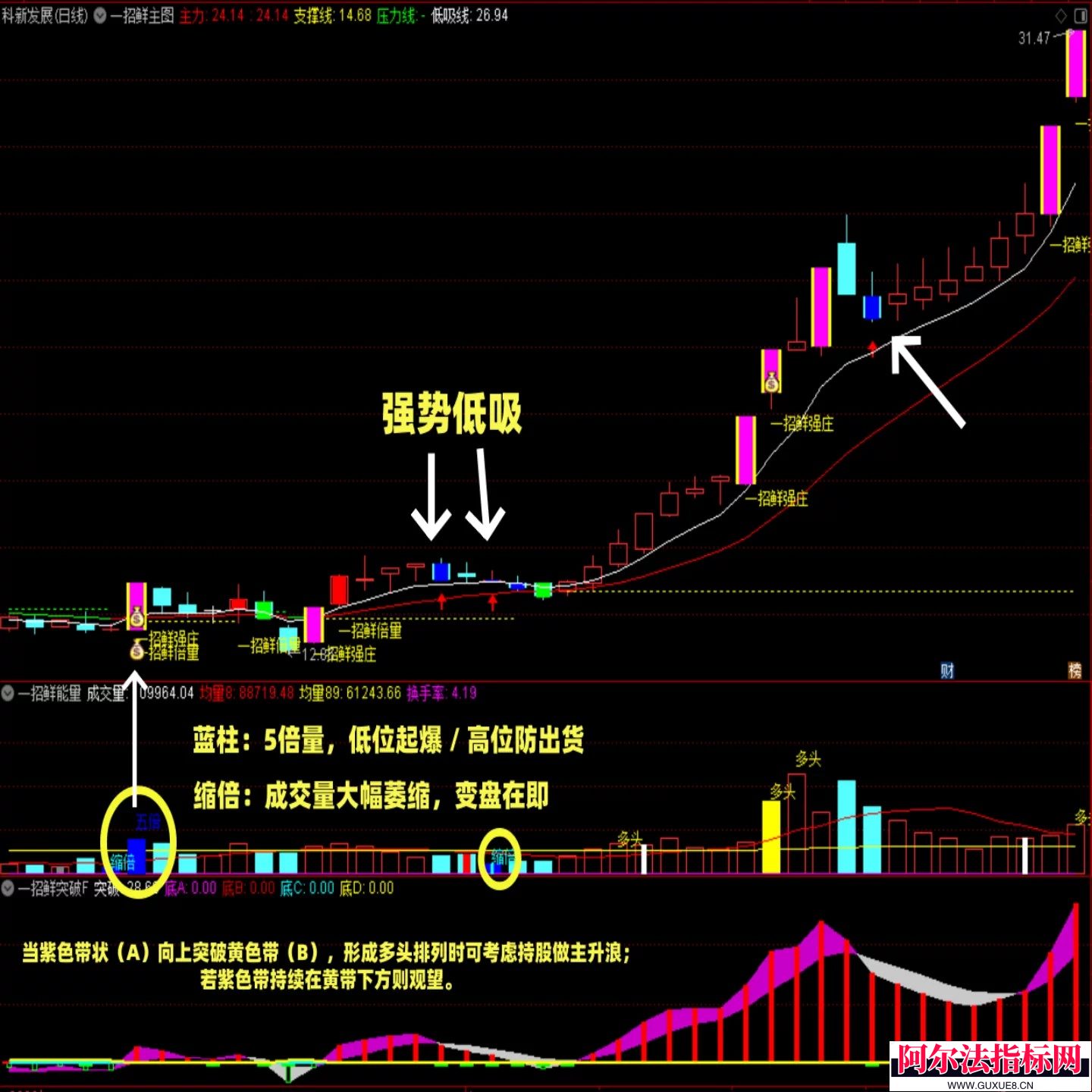 图片[10]阿尔法指标网-提供金钻指标以及精品亲测实战指标公式，汇集各大股市名师高手教程、股市战法交流等.....【金指标系列】【一招鲜吃遍天】  某宝售价498元 主升浪强势股低吸战法核心龙头 通达信炒股公式指标源码!【金指标系列】阿尔法指标网-提供金钻指标以及精品亲测实战指标公式，汇集各大股市名师高手教程、股市战法交流等.....阿尔法指标网