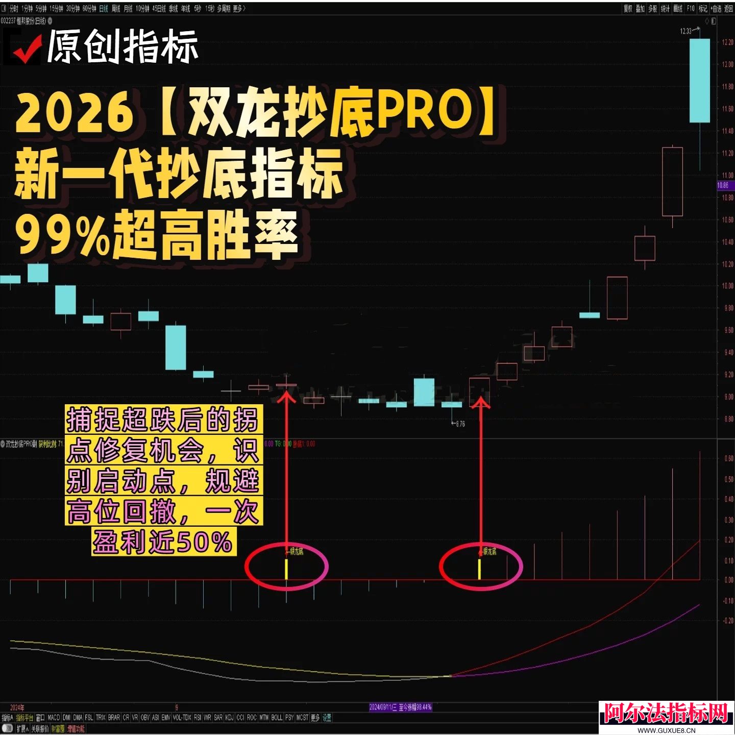 图片[1]阿尔法指标网-提供金钻指标以及精品亲测实战指标公式，汇集各大股市名师高手教程、股市战法交流等.....【双龙抄底PRO】 10年回测达99%超高胜率 新一代抄底 真正实现躺赚目标 通达信指标副图选股！【金指标系列】阿尔法指标网-提供金钻指标以及精品亲测实战指标公式，汇集各大股市名师高手教程、股市战法交流等.....阿尔法指标网