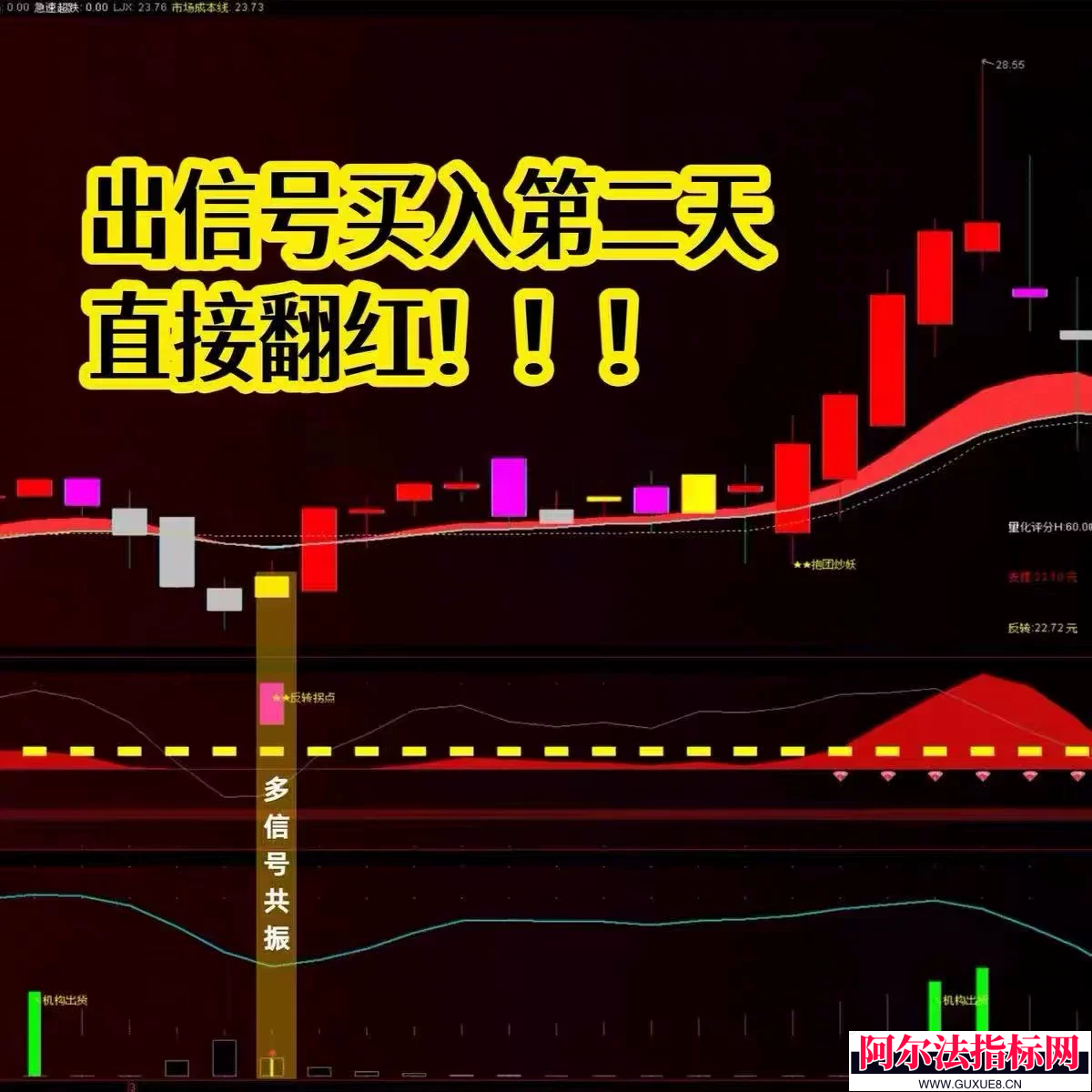 图片[2]阿尔法指标网-提供金钻指标以及精品亲测实战指标公式，汇集各大股市名师高手教程、股市战法交流等.....【Ai量化主力狙击】2026通达信主副图选股 精准捉妖 识别主力 买在起爆前 跟着操作建议吃大肉 源码公开！【金指标系列】阿尔法指标网-提供金钻指标以及精品亲测实战指标公式，汇集各大股市名师高手教程、股市战法交流等.....阿尔法指标网