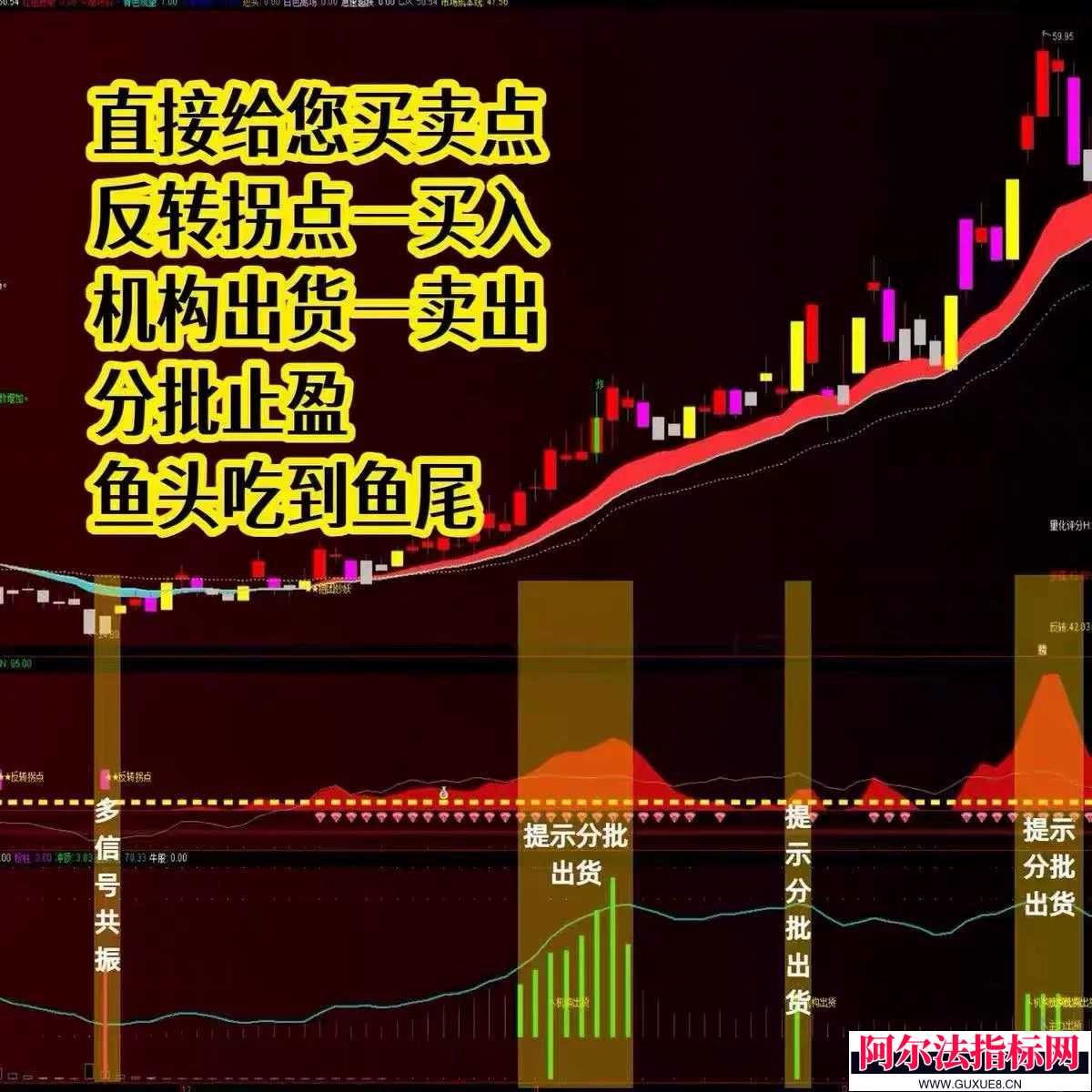 图片[4]阿尔法指标网-提供金钻指标以及精品亲测实战指标公式，汇集各大股市名师高手教程、股市战法交流等.....【Ai量化主力狙击】2026通达信主副图选股 精准捉妖 识别主力 买在起爆前 跟着操作建议吃大肉 源码公开！【金指标系列】阿尔法指标网-提供金钻指标以及精品亲测实战指标公式，汇集各大股市名师高手教程、股市战法交流等.....阿尔法指标网