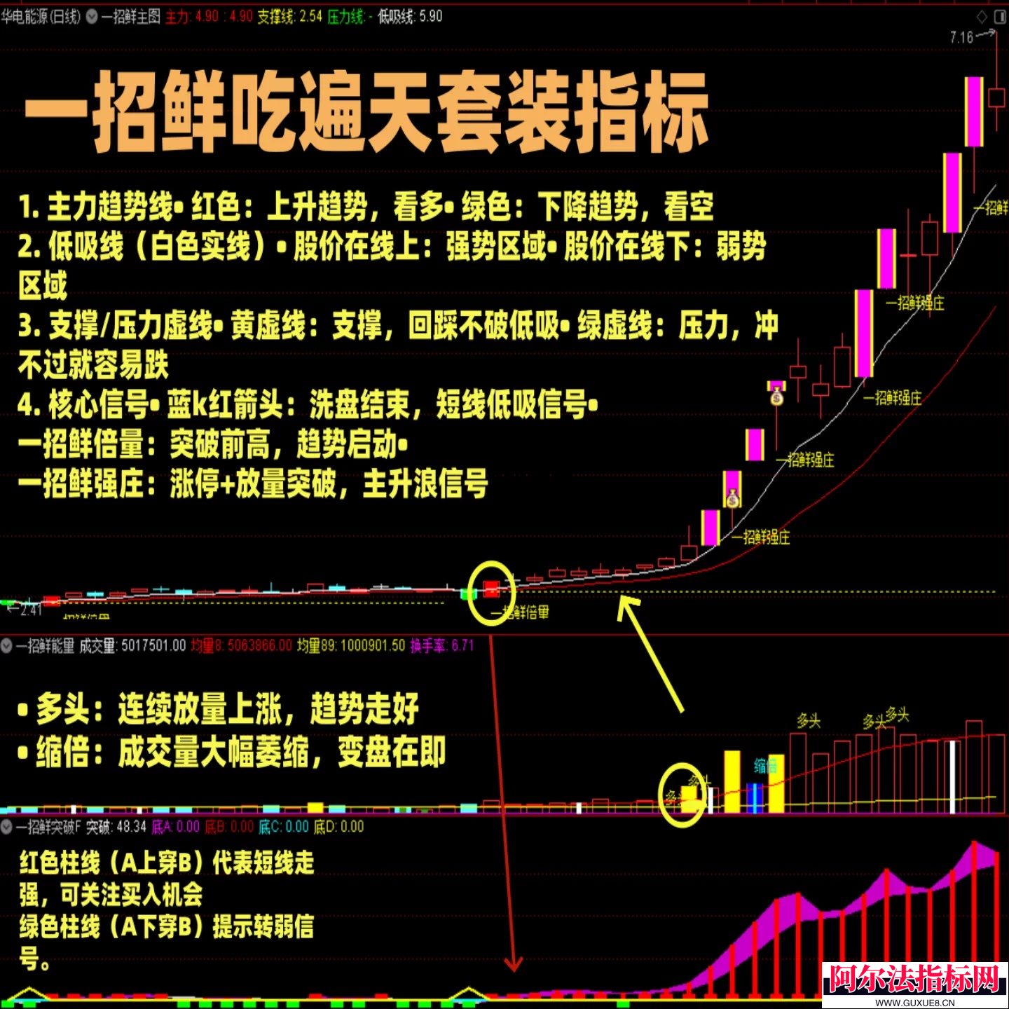 图片[2]阿尔法指标网-提供金钻指标以及精品亲测实战指标公式，汇集各大股市名师高手教程、股市战法交流等.....【金指标系列】【一招鲜吃遍天】  某宝售价498元 主升浪强势股低吸战法核心龙头 通达信炒股公式指标源码!【金指标系列】阿尔法指标网-提供金钻指标以及精品亲测实战指标公式，汇集各大股市名师高手教程、股市战法交流等.....阿尔法指标网