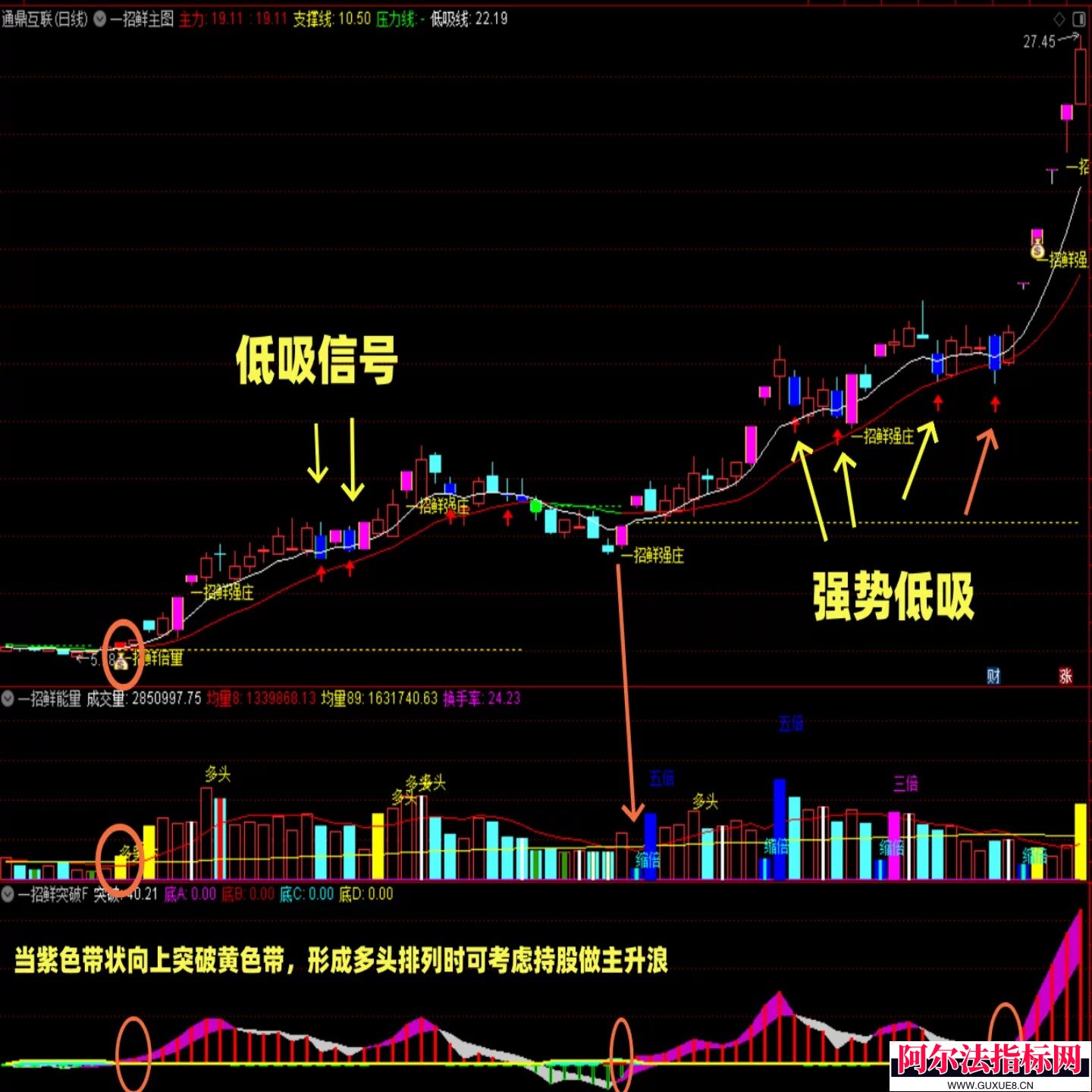图片[8]阿尔法指标网-提供金钻指标以及精品亲测实战指标公式，汇集各大股市名师高手教程、股市战法交流等.....【金指标系列】【一招鲜吃遍天】  某宝售价498元 主升浪强势股低吸战法核心龙头 通达信炒股公式指标源码!【金指标系列】阿尔法指标网-提供金钻指标以及精品亲测实战指标公式，汇集各大股市名师高手教程、股市战法交流等.....阿尔法指标网